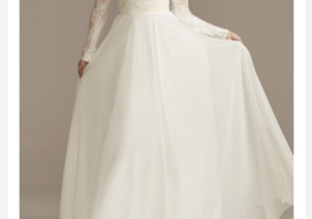 David's Bridal Wedding Dress with Lace Sleeves