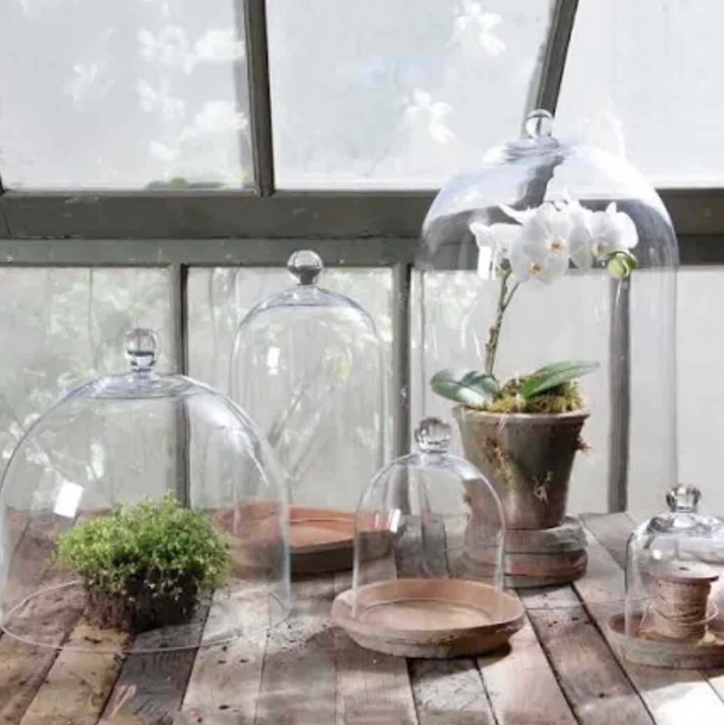 4-Beautiful Glass Domes